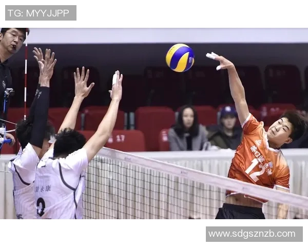 深圳排球队实力解析：从技术到团队协作的全面剖析与展望