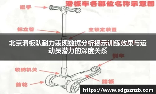 北京滑板队耐力表现数据分析揭示训练效果与运动员潜力的深度关系